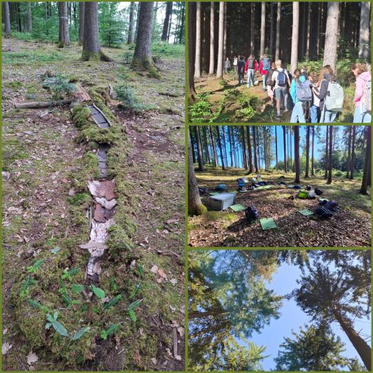 Waldtag der Klasse 6a