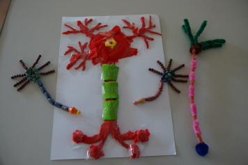 Neurone model