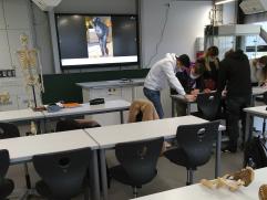 Biologieunterricht Kursstufe